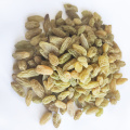 Natural Xinjiang Green Raisins Supplier